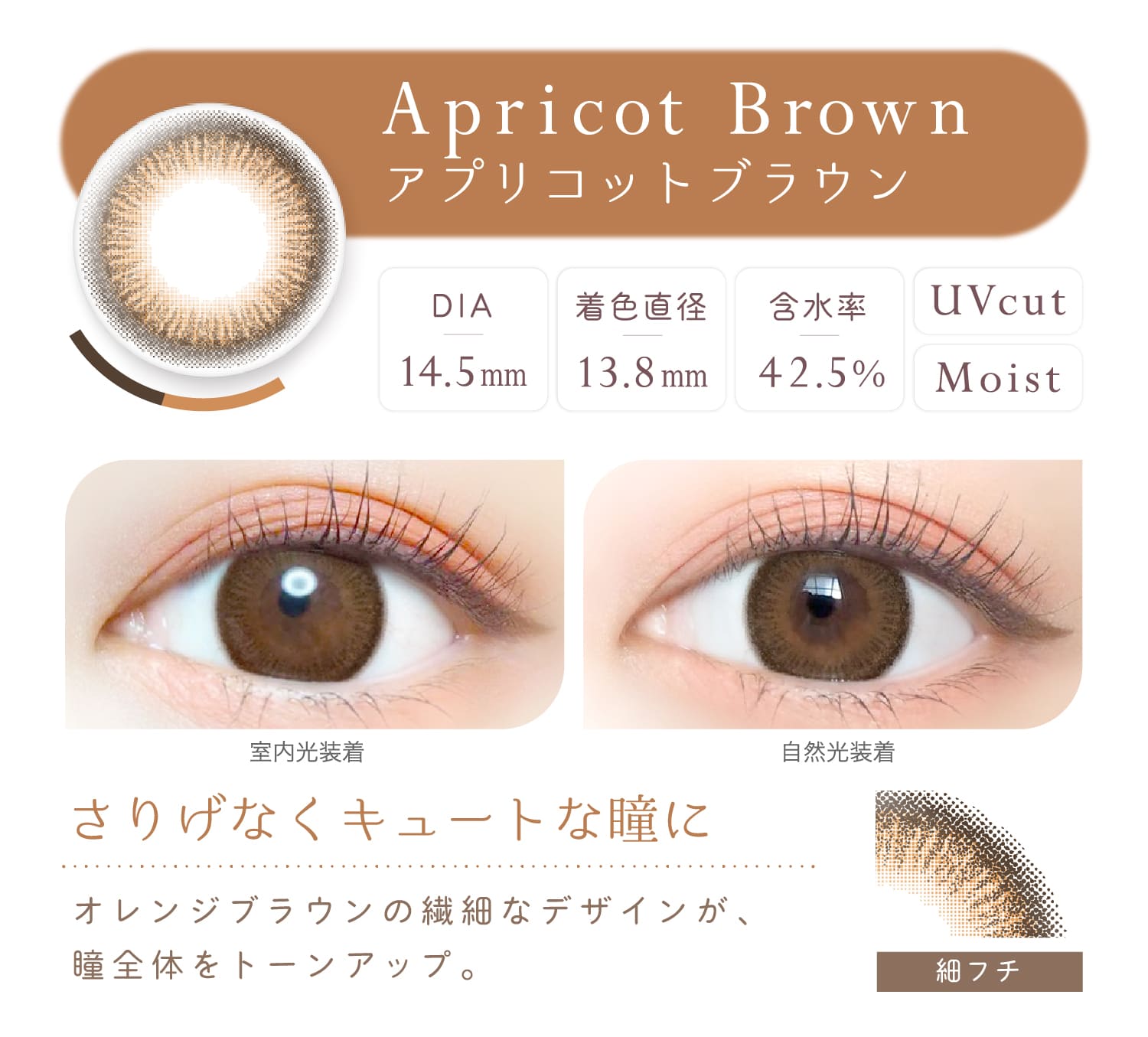 Ever Color 1day Natural Go[J[f[i`yApricot Brown AvRbguEz