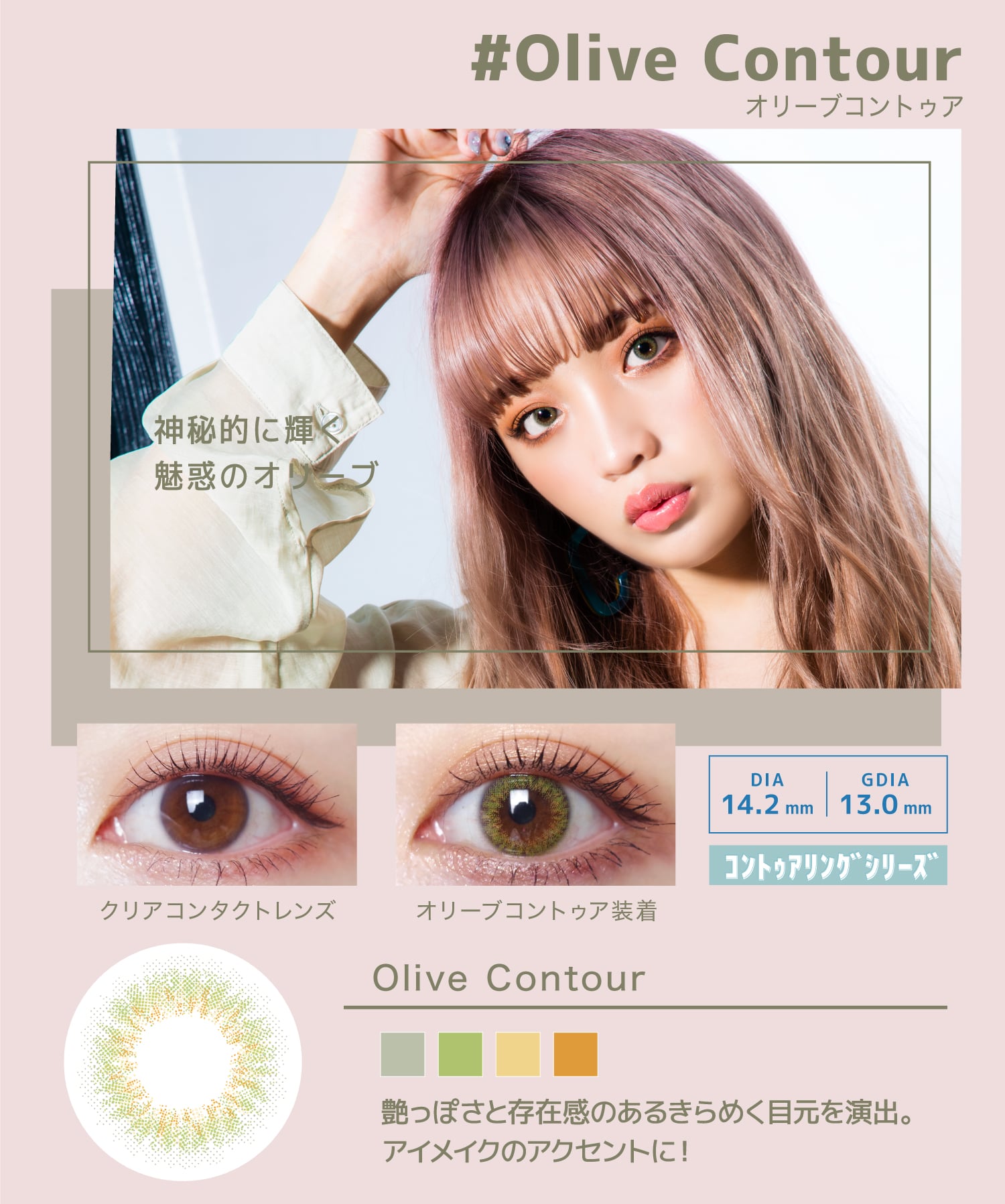 Olive Contour オリーブコントゥア