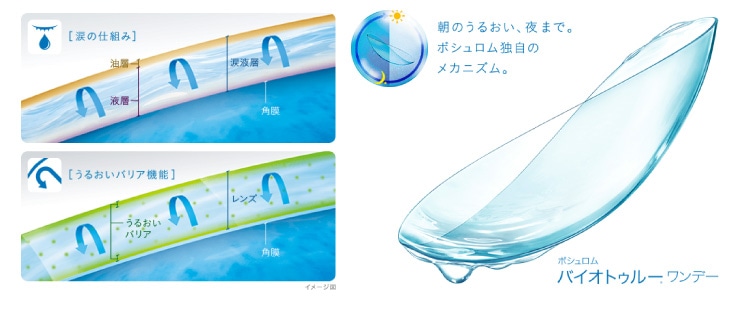 ボシュロム バイオトゥルーワンデー vio true 1day