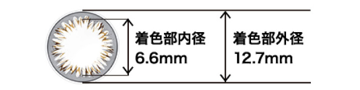 ヴィヴィットスタイル 着色部