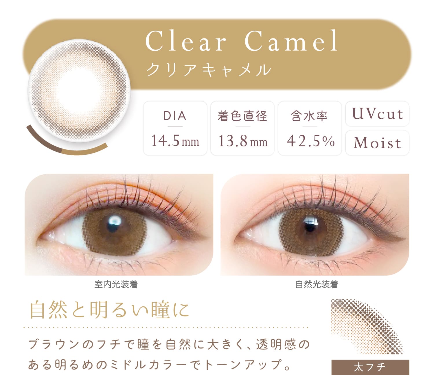 Ever Color 1day Natural エバーカラーワンデーナチュラル【Clear Camel クリアキャメル】