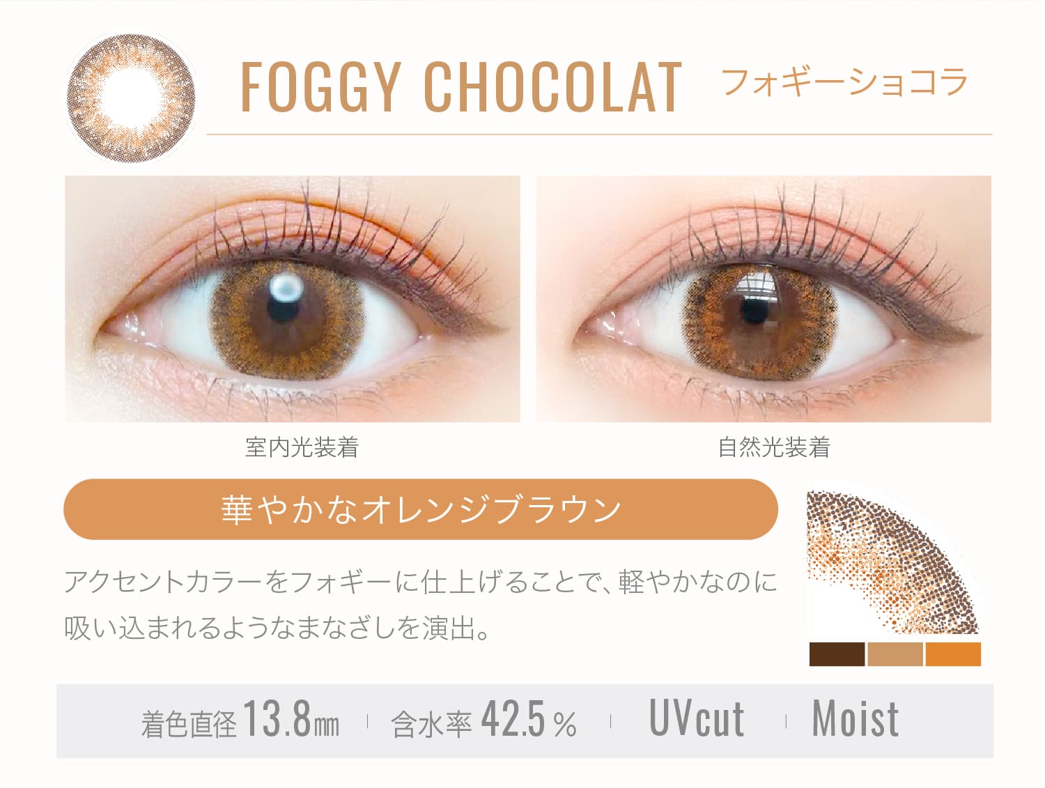 Go[J[f[NA[WyFOGGY CHOCOLAT tHM[VRz