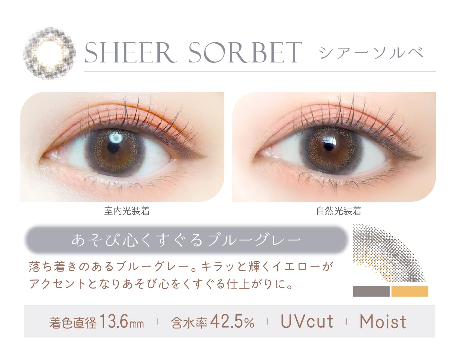 Ever Color 1day MOIST LABEL CXg[xySHEER SORBET VA[\xz