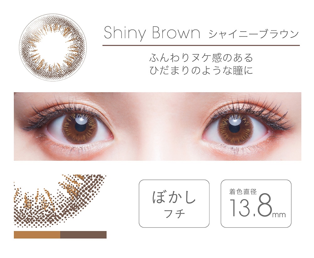 【Shiny Brownシャイニーブラウン】FAIRY フェアリー ワンデー