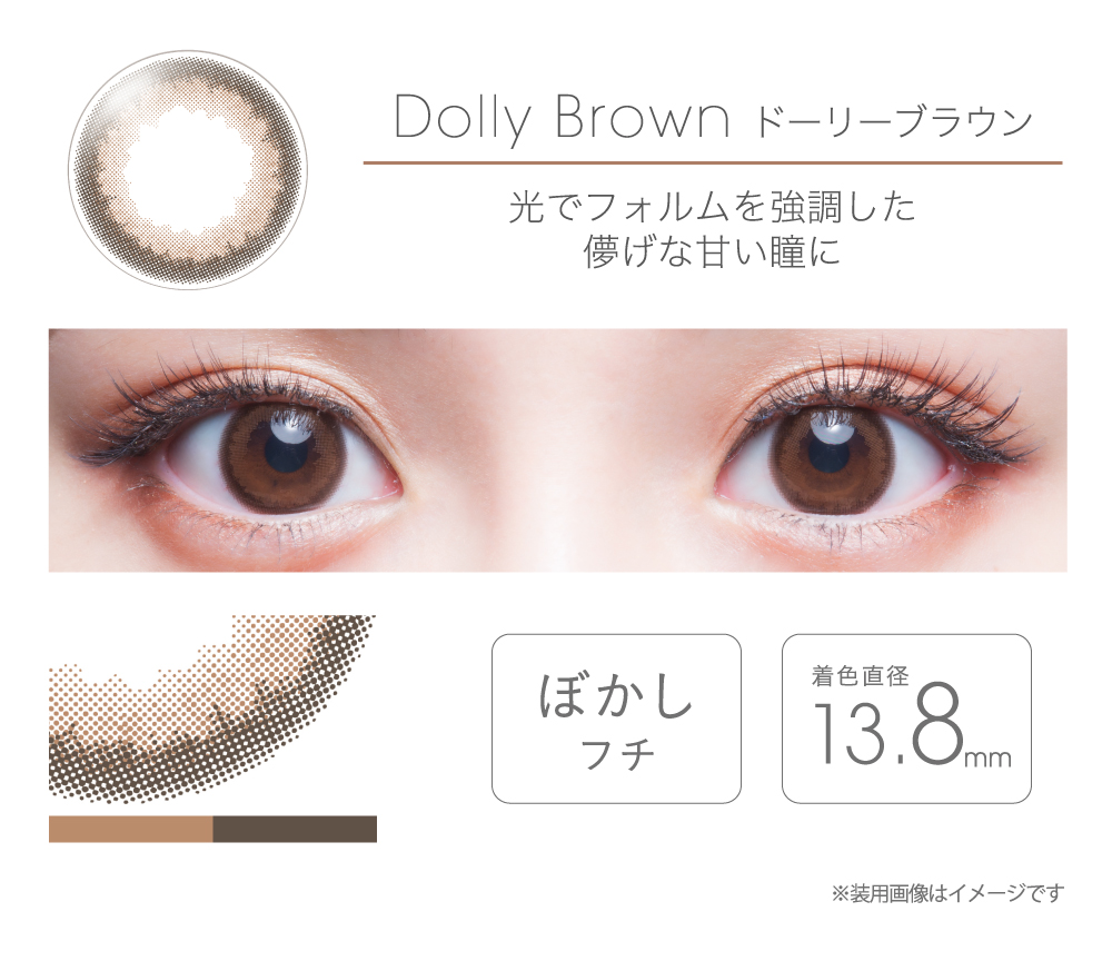 fairy 1day tFA[ f[yDolly Brown h[[uEz