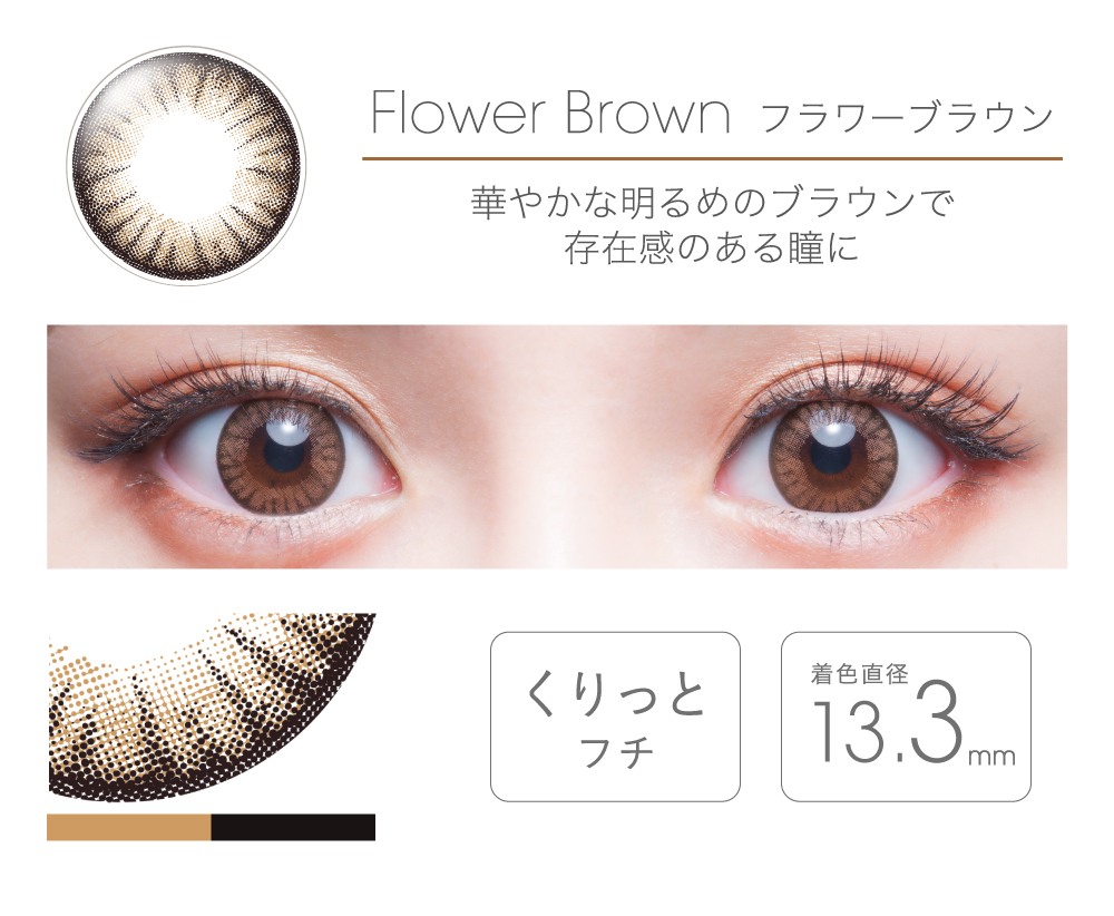 fairy 1day tFA[ f[yFlower Brown t[uEz