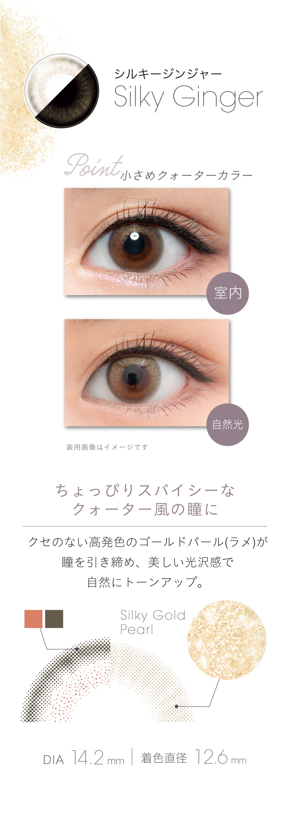 【Silky Ginger シルキージンジャー】FAIRY 1day フェアリー ワンデー