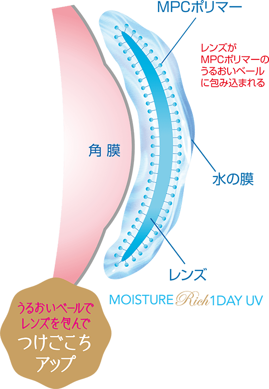 邨x[wMPC|}[xz