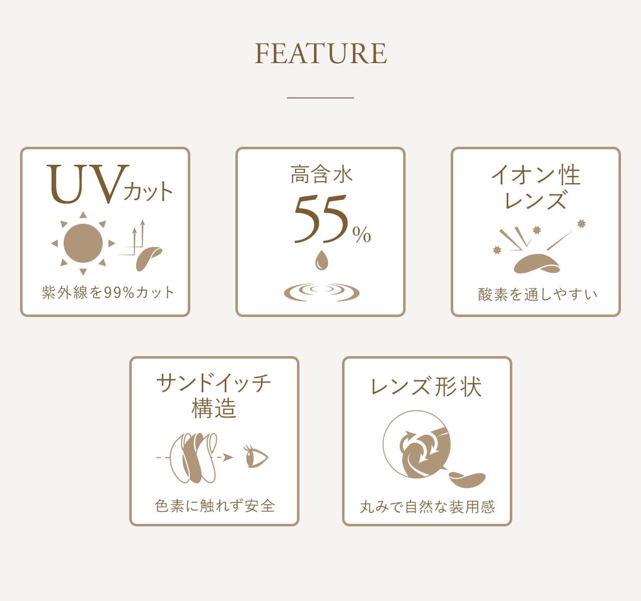 MOLAK 1day モラク ワンデー FEATURE