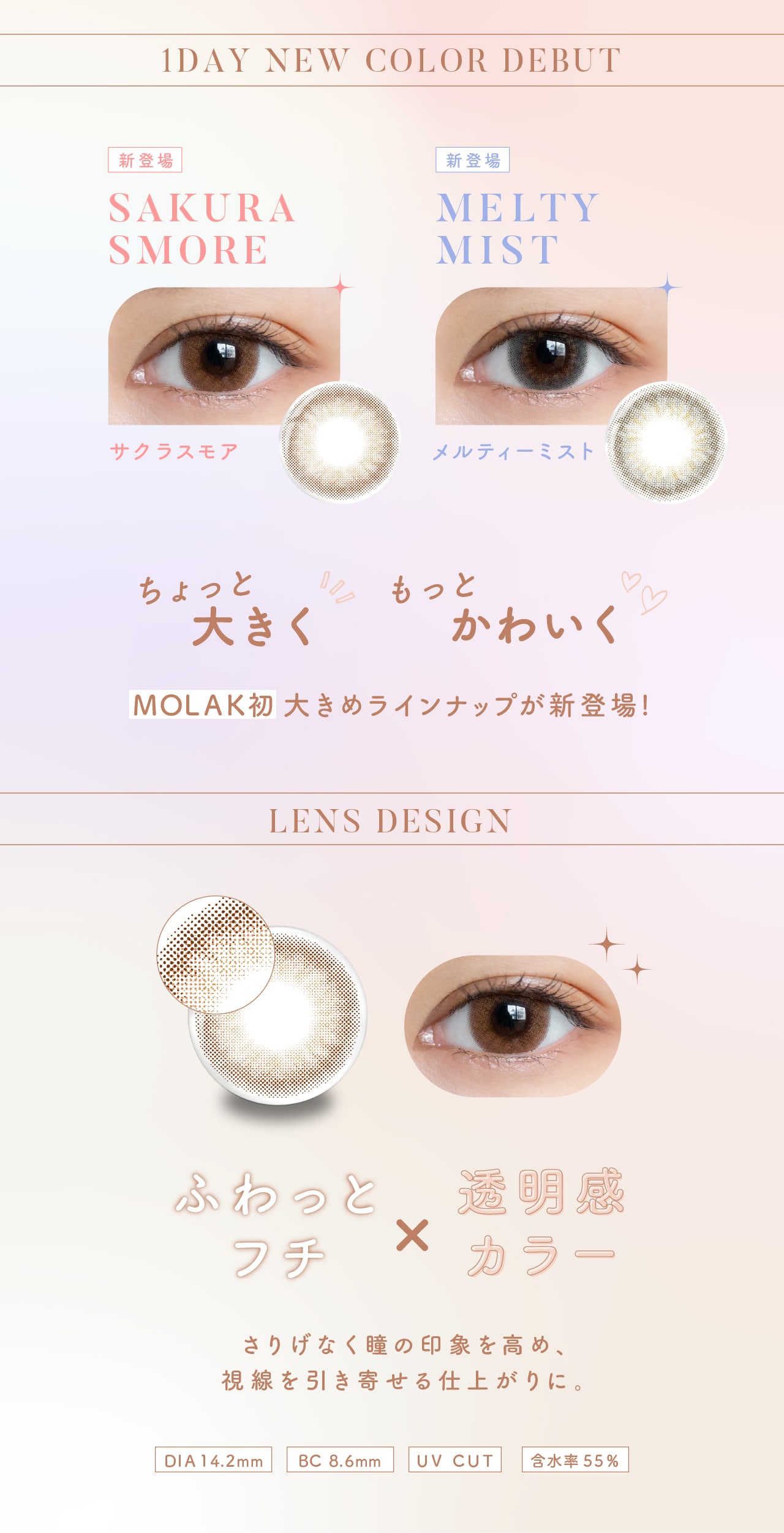 MOLAK 1day モラク ワンデー 1DAY NEW COLOR DEBUT