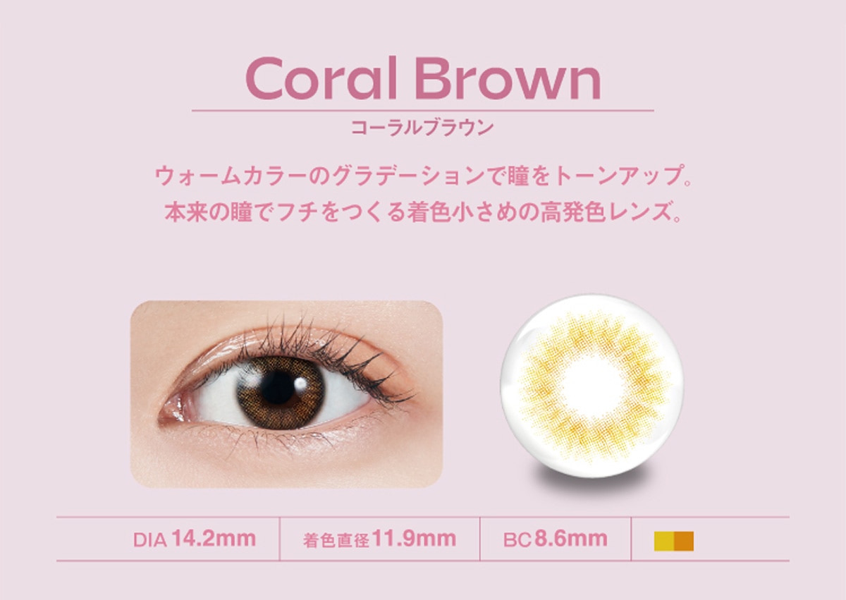 MOLAK 1day N f[yCoral Brown R[uEz