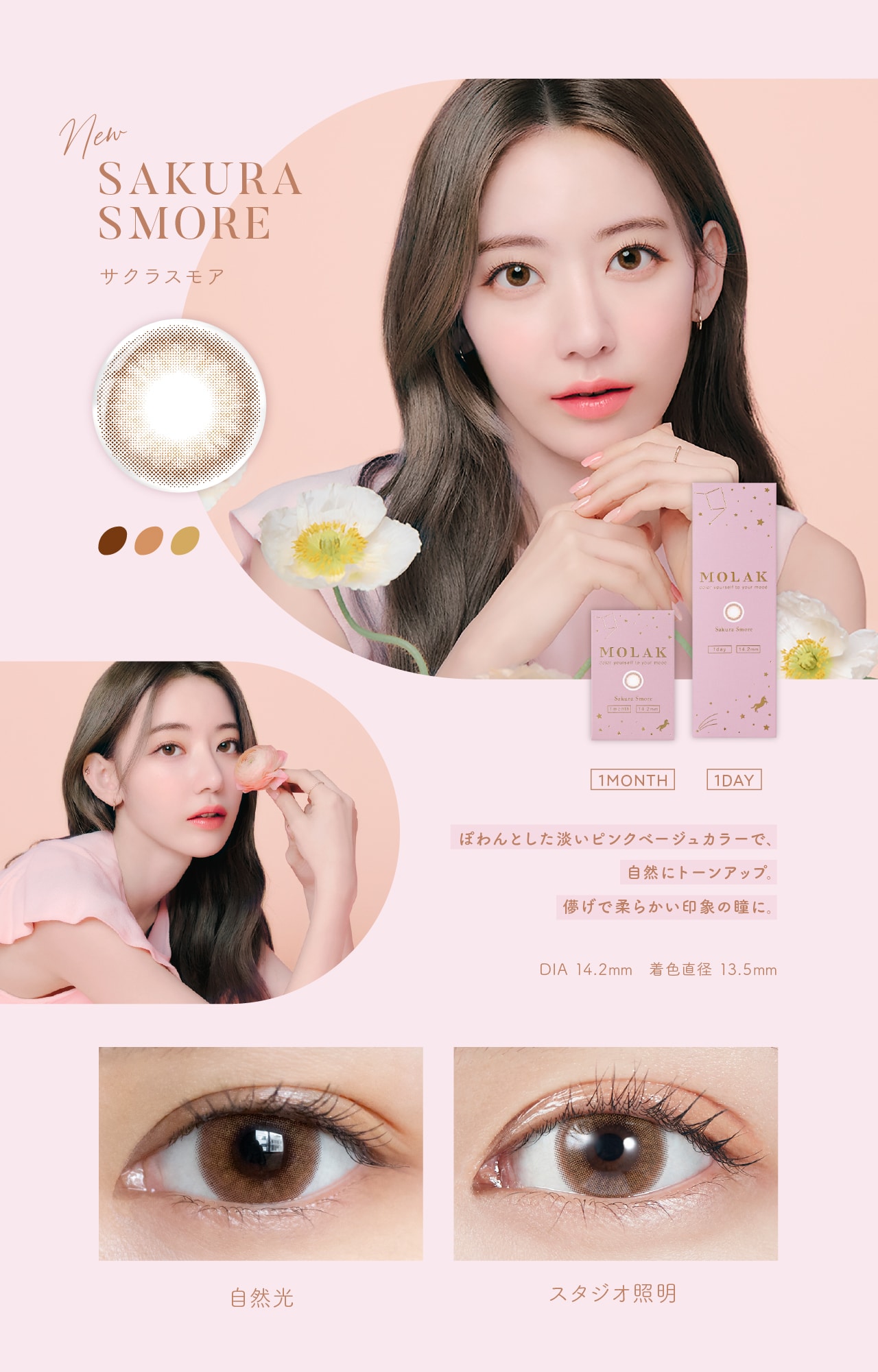 MOLAK 1MONTH モラク ワンマンス【SAKURA SMORE サクラスモア】