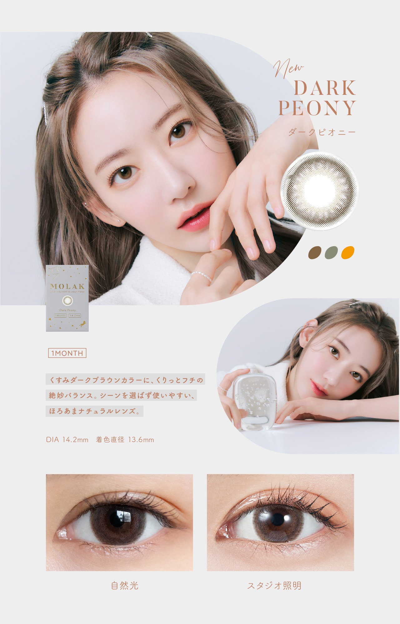 MOLAK 1MONTH モラク ワンマンス【DARK PEONY ダークピオニー】