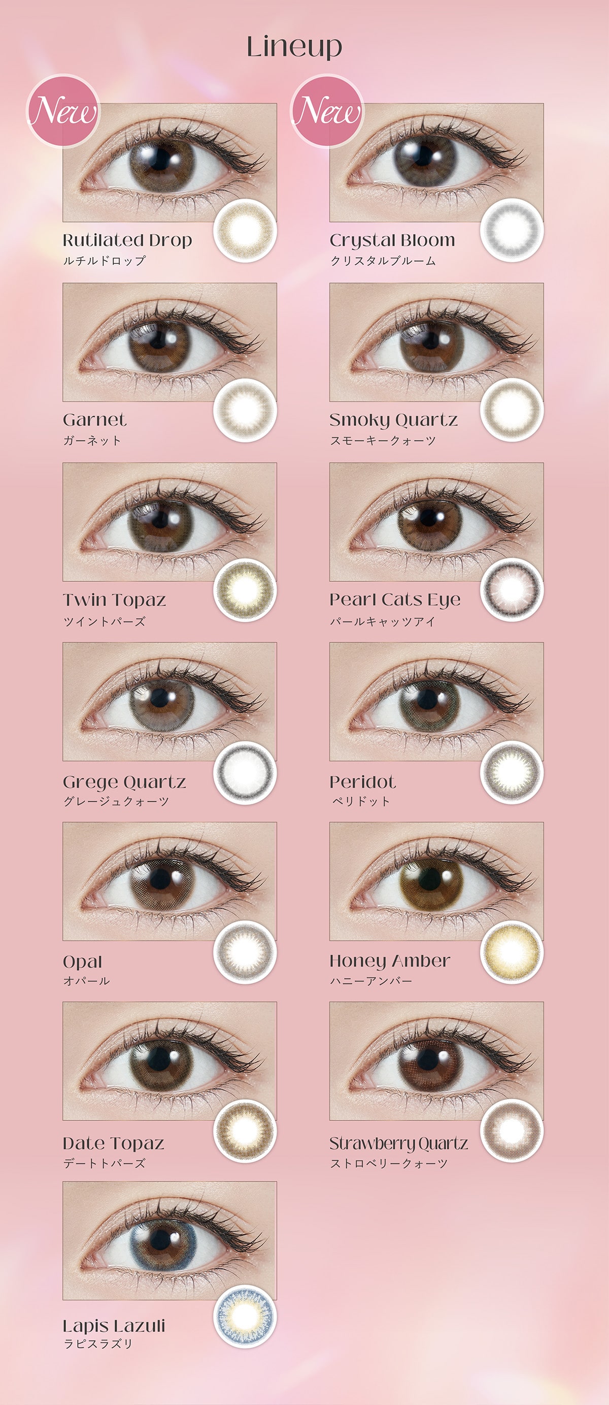 TOPARDS 1day gp[Y f[(vf[X/fFw仔T) LINE UP