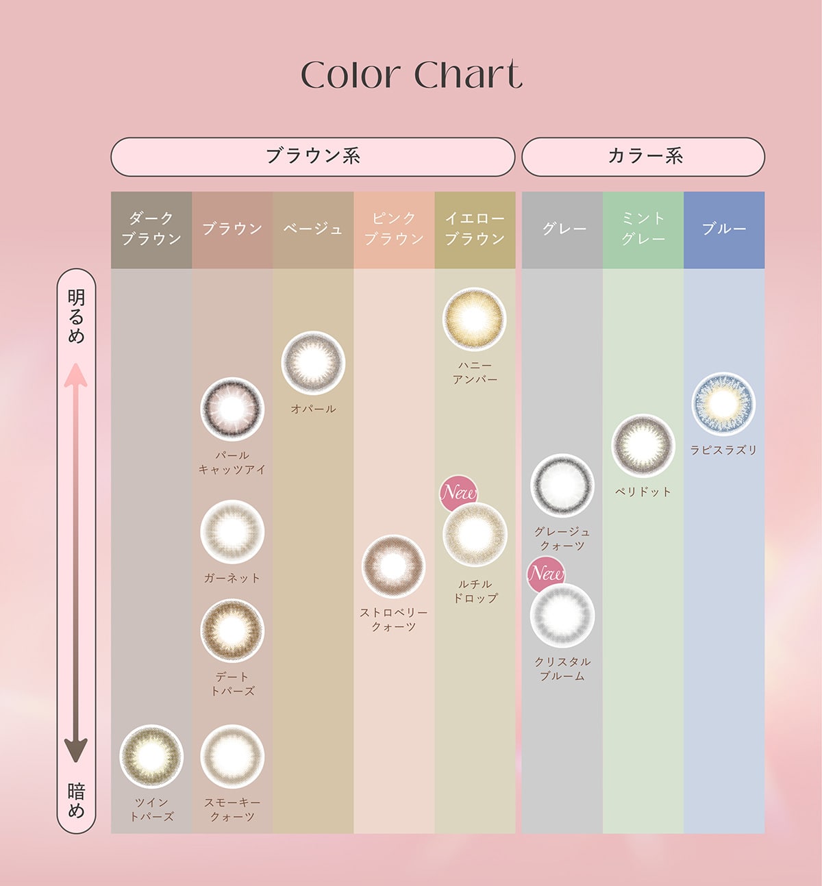 TOPARDS 1day gp[Y f[ ColorChart