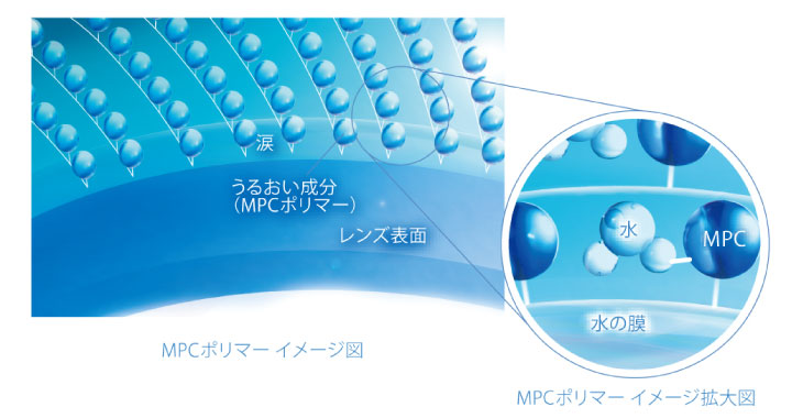 うるおい成分　ＭＰＣポリマーイメージ図