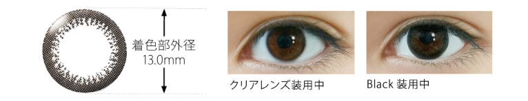 BLACK装用 着色部外径13.0mm