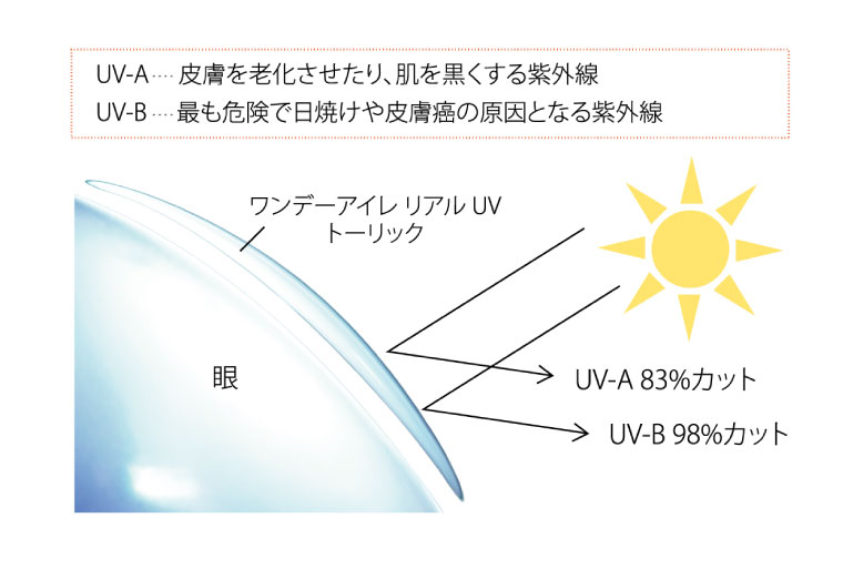 UV-A(皮膚を老化させたり、肌を黒くする紫外線)を83%カット、UV-B(最も危険で日焼けや皮膚癌の原因となる紫外線)を98%カット