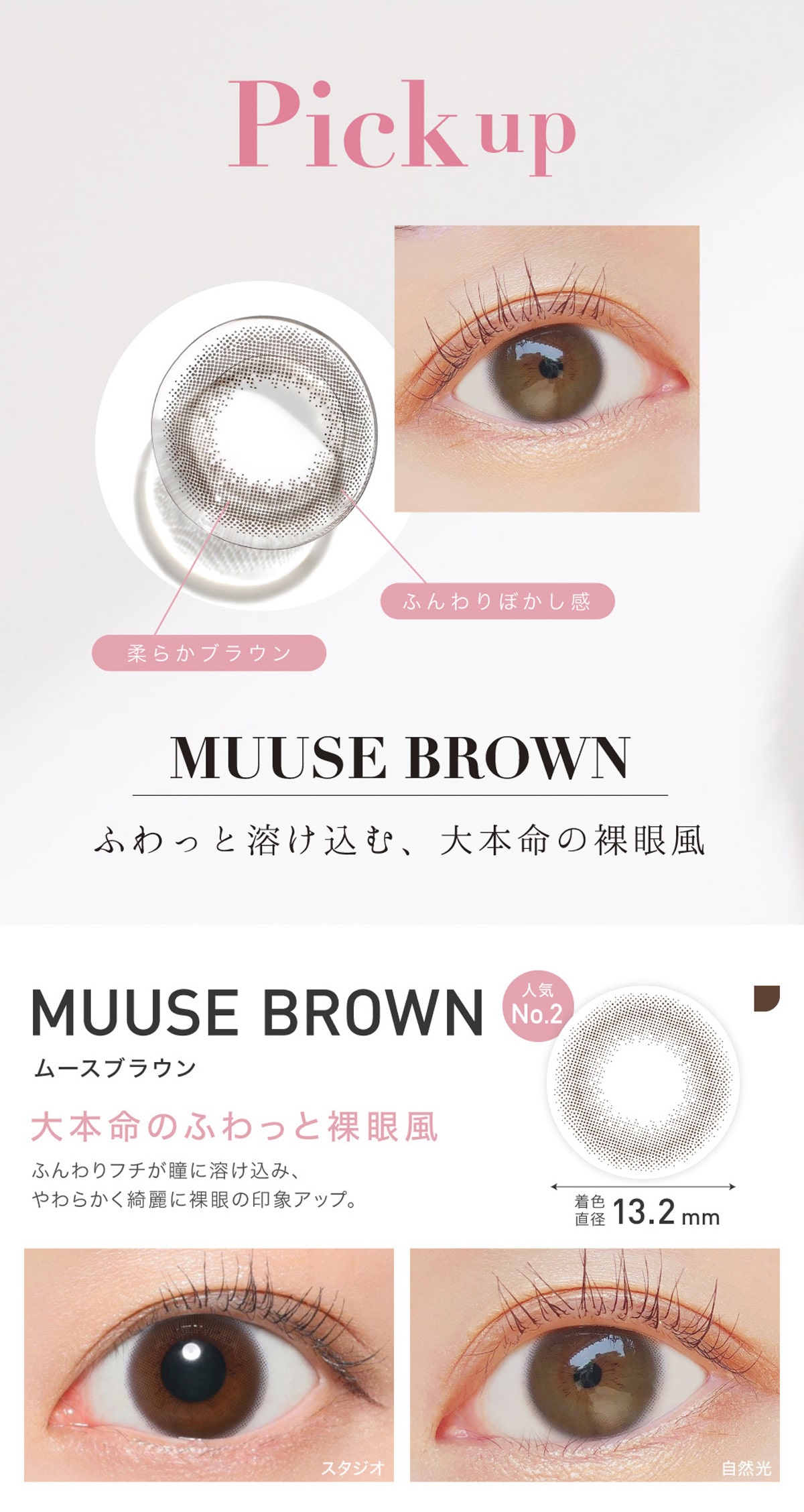 ReVIA 1day color BA f[ J[yMUUSE BROWN [XuEz