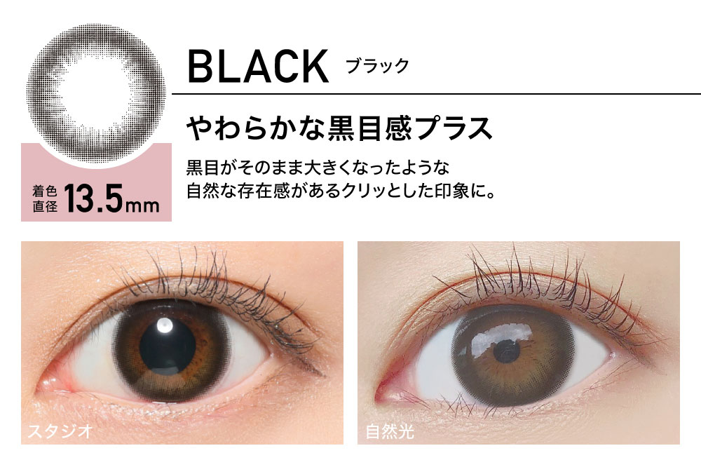 ReVIA 1day color レヴィア ワンデー カラー【BLACK ブラック】