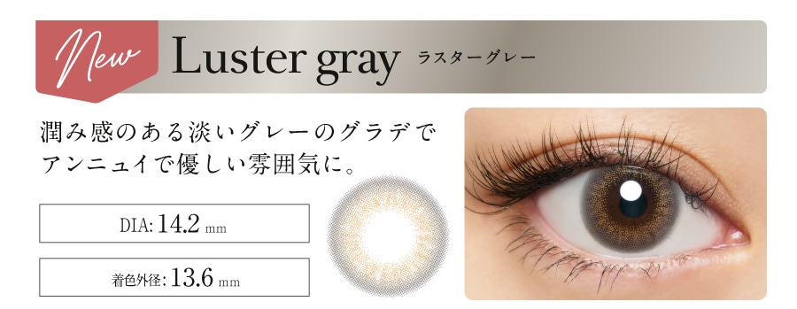 Loveil Aqua rich F[ f[ yLuster grayX^[O[z