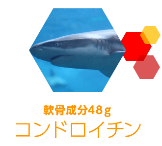 コンドロイチン